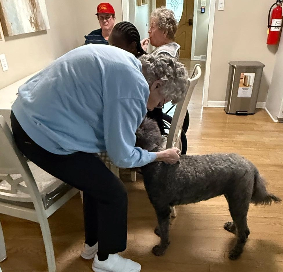 Elderly Woman Playing With A Dog In A Community Dining Area
